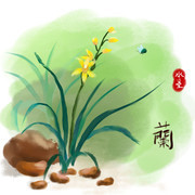 鼠绘兰花图片