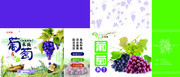 葡萄水果包装盒模板