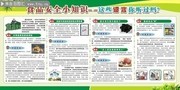 食品安全小知识辟谣宣传图片
