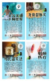 养生会项目介绍海报挂图