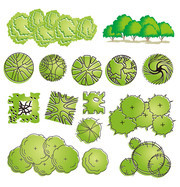 手绘植物绿化灌木图片下载