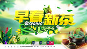 早春新茶茶叶宣传海报图片