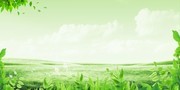 春天绿色唯美风景促销海报背景图