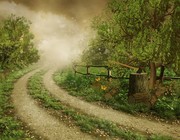 森林风景小路图片素材