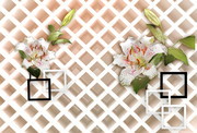 百合花酒柜立体方格3D背景墙