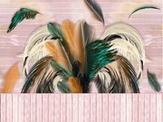 杂乱的羽毛背景装饰画
