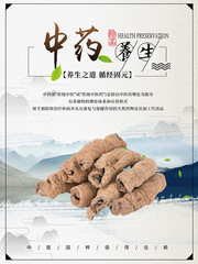 中医中药养生海报