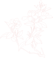 矢量栀子花雕刻文件图片