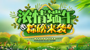 浓情端午粽磅来袭端午节促销展板