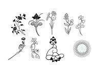 佛教莲花花纹矢量素材