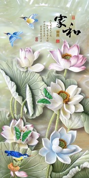 �Һ͸���ɻ�װ�λ�ͼƬ