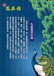 孔雀海报图片素材