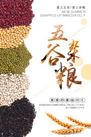 爱上五谷杂粮养生海报