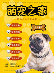 萌宠之家海报设计