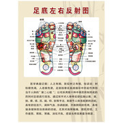 足底反射区医疗挂图图片素材