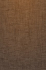 ֽ�Ų��Ƴ�����������ʸ���ز�