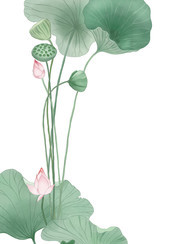 手绘荷花插画图片素材