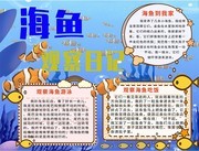 海鱼观察日记手抄报