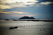 海边渔场夕阳风景图片下载