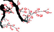 中国风梅花图片素材