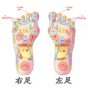 ˫���㲿Ѩλ�廭