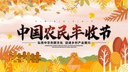 中国农民丰收节海报素材