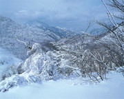 冬天雪景图片