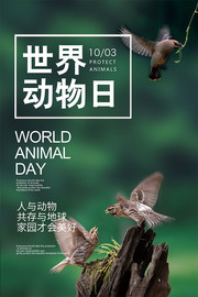 世界动物日保护动物宣传图片