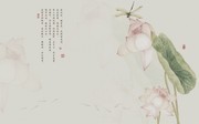荷花背景墙图片