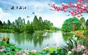 �ɻ�����ǽ���ͼƬ����