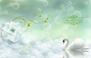 唯美梦幻天鹅湖背景墙图片