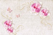 蝶恋花3D电视墙图片