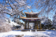 凉亭雪景图片