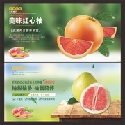 水果柚子促销海报图片