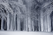 唯美冬天雪山覆盖的景色素材图片