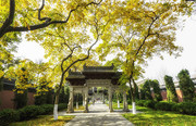 杭州钱王祠旅游图片