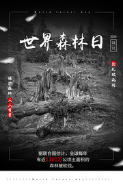 世界森林日公益宣传图片素材