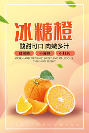 冬季水果冰糖橙海报