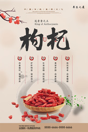 ��轶������������������