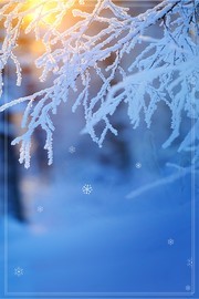 冬天挂满雪的树枝背景图片