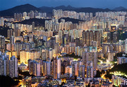 繁茂的城市夜景图片
