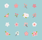 樱花花纹矢量素材