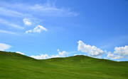 草原自然风景图片