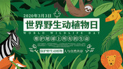 世界野生动植物日公益安全展板