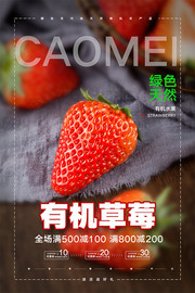 有机草莓促销海报