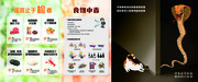 食品安全展厅-蛇猫图（食品谣言）