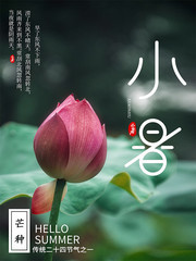 传统节气小暑海报模板