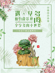 多肉植物海报