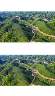 茶乡茶田风光图片