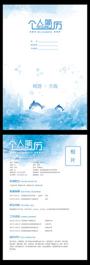 大海蓝色个人简历